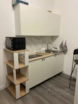 Студия Санкт-Петербург просп. Ветеранов, 210 (24.4 м)