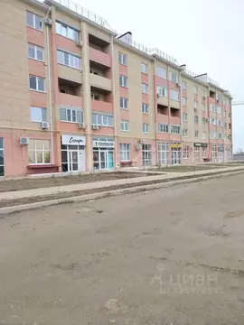 Помещение свободного назначения в Краснодарский край, Ейск Западная ...