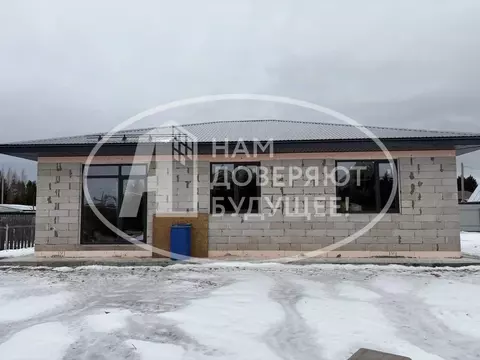 Дом в Пермский край, Добрянка ул. Березовая (107 м)