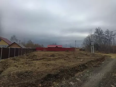 Участок в Хабаровский край, Хабаровский район, Мичуринское с/пос, с. ...