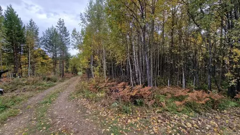 Участок в Иркутская область, Иркутский муниципальный округ, Пчелка СНТ ...
