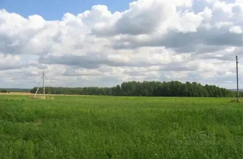 Участок в Краснодарский край, Краснодар Елизаветинская ст-ца, ...