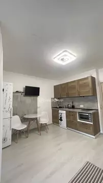 Студия Санкт-Петербург просп. Буденного, 19к2 (24.5 м)