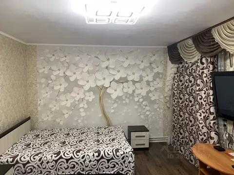 Дом в Воронежская область, Павловск ул. Полины Осипенко, 4 (33 м)