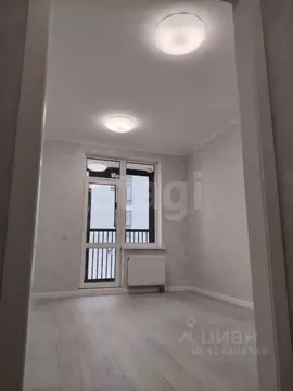 Студия Санкт-Петербург аллея Арцеуловская, 9 (19.5 м)