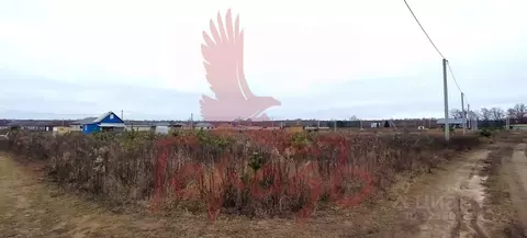 Участок в Орловская область, Орловский муниципальный округ, д. ...