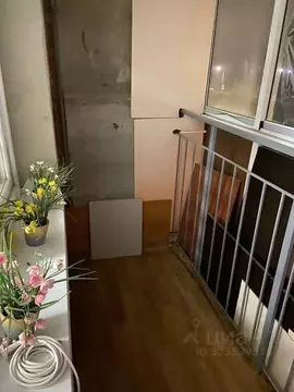 Студия Московская область, Ленинский городской округ, Мисайлово пгт, ...