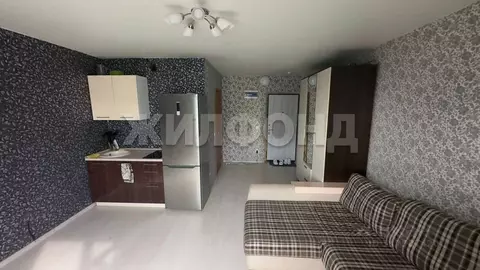 Студия Кемеровская область, Кемерово ул. Дегтярева, 3 (25.0 м)