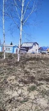 Участок в Тюменская область, Тюмень Садовое товарищество Липовый ...