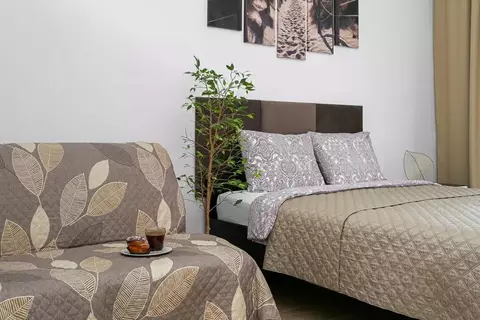 1-к кв. Санкт-Петербург ул. Адмирала Черокова, 22 (24.0 м)