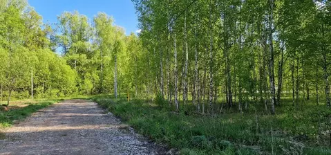 Участок в Татарстан, Лаишевский район, с. Сокуры, Новые Сокуры- 3 кп  ...