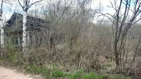 Участок в Новгородская область, Новгородский район, Панковское ...