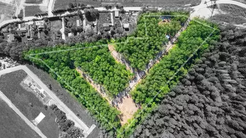 Участок в Московская область, Мытищи городской округ, д. Фелисово, ...