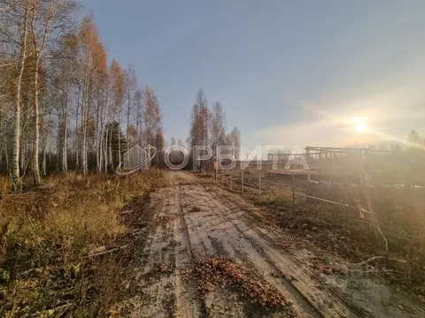 Участок в Тюменская область, Нижнетавдинский район, Строитель ТСН 786 ...