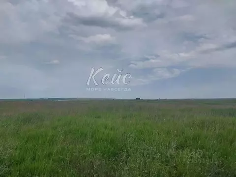 Участок в Крым, Ленинский район, Батальненское с/пос, Нептун СНТ  (8.0 ...