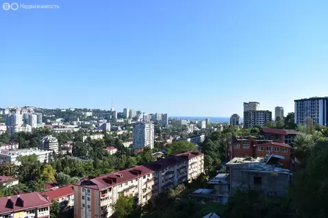 Квартира-студия: Сочи, Виноградная улица, 22/1 (46.7 м)