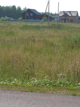 Участок в Татарстан, Лаишевский район, с. Державино  (186.0 сот.)