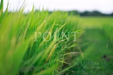 Участок в Московская область, Красногорск городской округ, д. ...