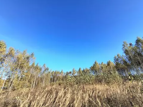 Участок в Марий Эл, Йошкар-Ола городской округ, д. Шоя-Кузнецово ул. ...