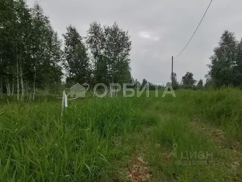 Участок в Тюменская область, Тюменский район, Янтарное ДНТ ул. ...