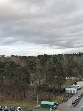 Студия Московская область, Красногорск ул. Народного Ополчения, 9 ...