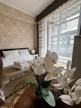 Комната Краснодарский край, Сочи Адлер жилрайон, ул. Чкалова, 34/2