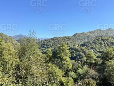 Участок в Краснодарский край, Сочи городской округ, с. Пластунка, Лира ...