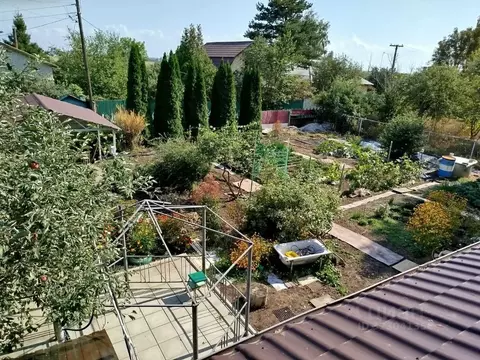 Дом в Саратовская область, Вольск пл. Свободы, 2 (65 м)