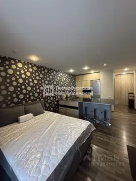 Студия Санкт-Петербург Ленинский просп., 82к1 (30.0 м)