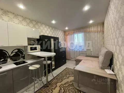 Студия Новосибирская область, Новосибирск ул. Героев Революции, 21 ...