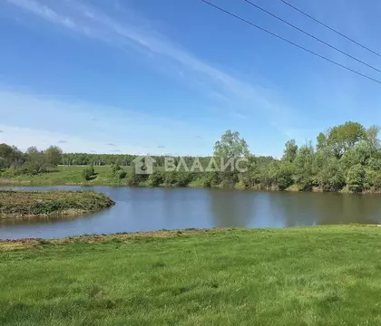 Участок в Московская область, Шаховская муниципальный округ, с. Белая ...