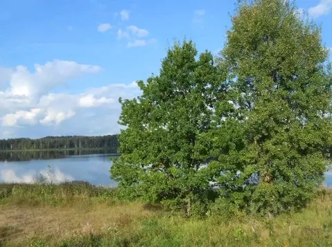 Участок в Новгородская область, Валдайский район, Короцкое с/пос, д. ...