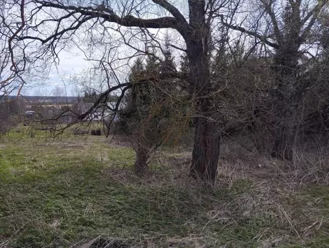 Участок в Московская область, Одинцовский городской округ, с. ...