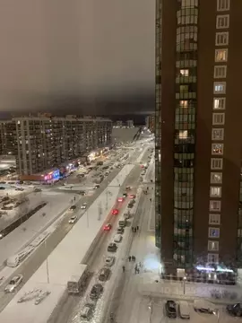 Студия Ленинградская область, Мурино Всеволожский район, бул. ...