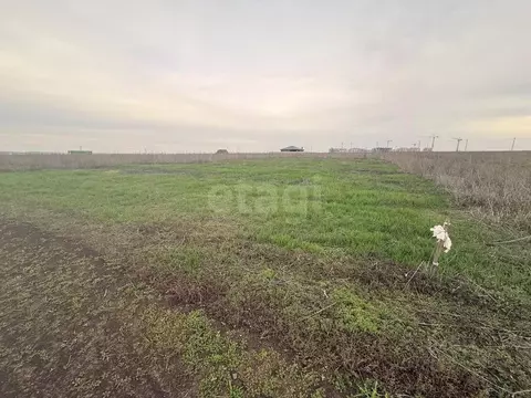 Участок в Ростовская область, Аксайский район, Щепкинское с/пос, пос. ...