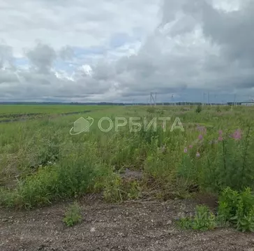 Участок в Тюменская область, Тюменский район, с. Успенка ул. ...