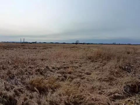 Участок в Приморский край, с. Михайловка ул. Мира (15.0 сот.)