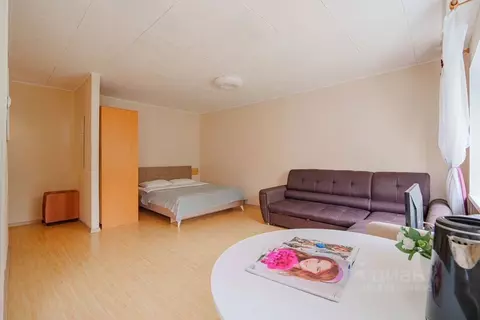 Студия Свердловская область, Екатеринбург ул. Шейнкмана, 32 (32.0 м)