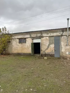 Помещение свободного назначения в Ставропольский край, Левокумский ...
