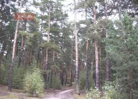 Участок в Рязанская область, Спасский муниципальный округ, Солнечное ...