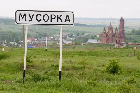 Участок в Самарская область, Ставропольский район, Мусорка с/пос, с. ...