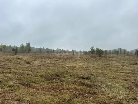 Участок в Воронежская область, Бобров  (10000.0 сот.)