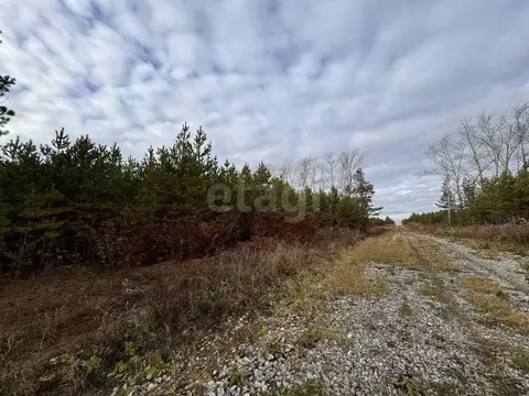 Участок в Свердловская область, Талица ул. Луначарского (11.0 сот.)