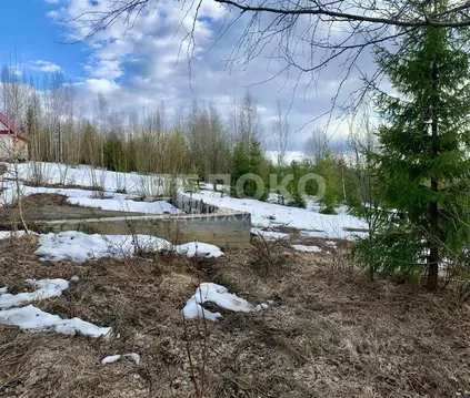 Участок в Пермский край, Березники ул. Южный Склон, 2А (7.6 сот.)