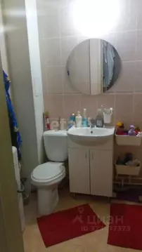 Студия Новосибирская область, Новосибирск Беловежская ул., 4/1 (29.0 ...