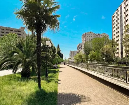 2-к кв. Краснодарский край, Сочи Мамайка мкр, ул. Фадеева, 38 (42.0 м)