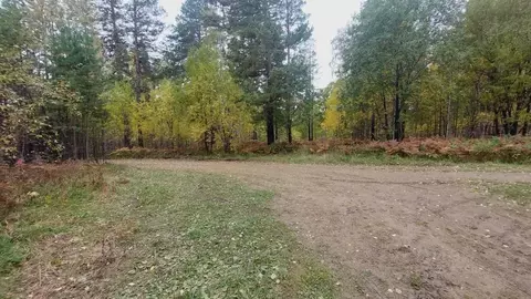 Участок в Иркутская область, Иркутский муниципальный округ, Пчелка СНТ ...