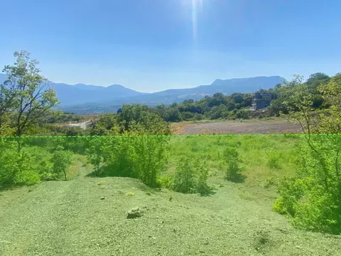 Участок в Крым, Алушта муниципальный округ, с. Лучистое  (20.64 сот.)