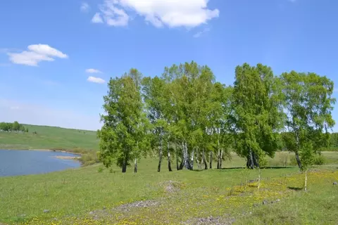 Участок в Кемеровская область, Новокузнецкий муниципальный округ, пос. ...