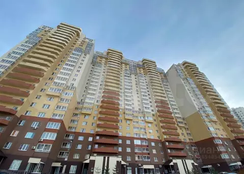 Студия Челябинская область, Челябинск Университетская Набережная ул., ...